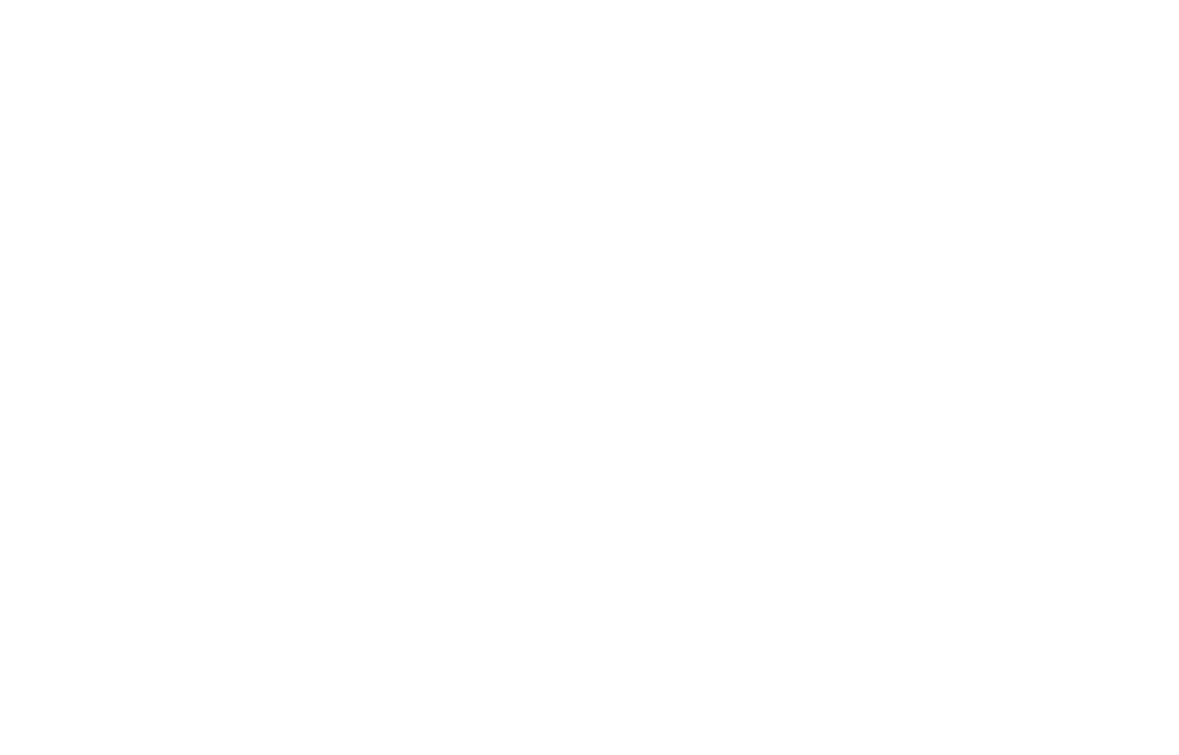 VISTAL VISION